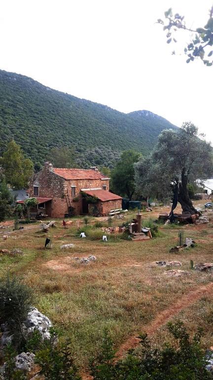 Hiker'S Inn-Purple House Kaleucagız Exteriör bild